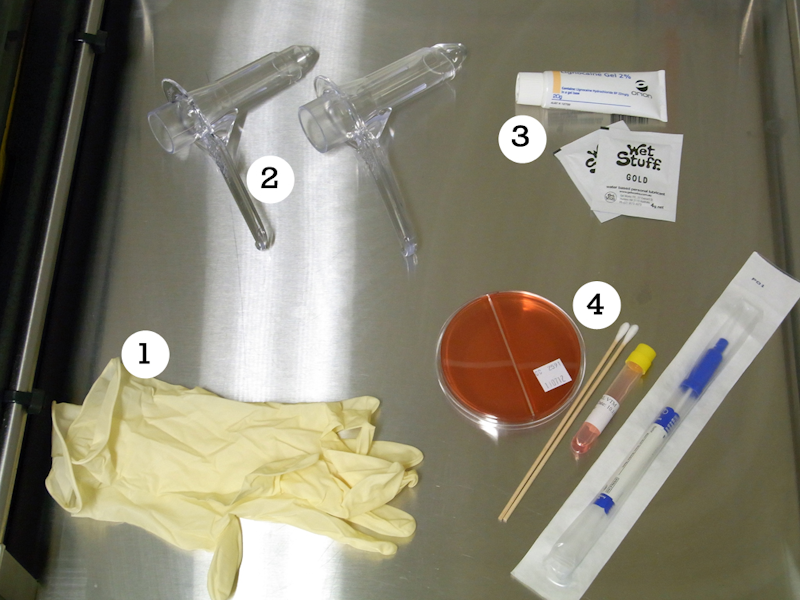 Anorectal examination equipment